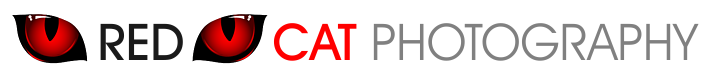 RED CAT PHOTOGRAPHY
